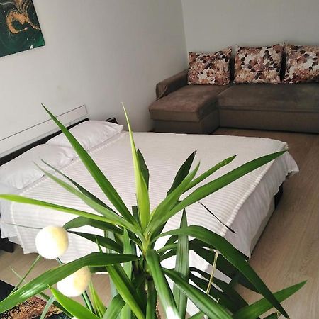 Appartamento Garsoniera REBECCA Tîrgu Ocna Esterno foto